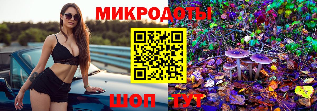 Галлюциногенные грибы Psilocybe  Псилоцибиновые грибы мухоморы  Королёв  Вход с VPN 